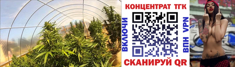 Дистиллят ТГК гашишное масло  Невель 