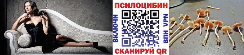 Галлюциногенные грибы прущие грибы  МЕГА как войти  Невель 